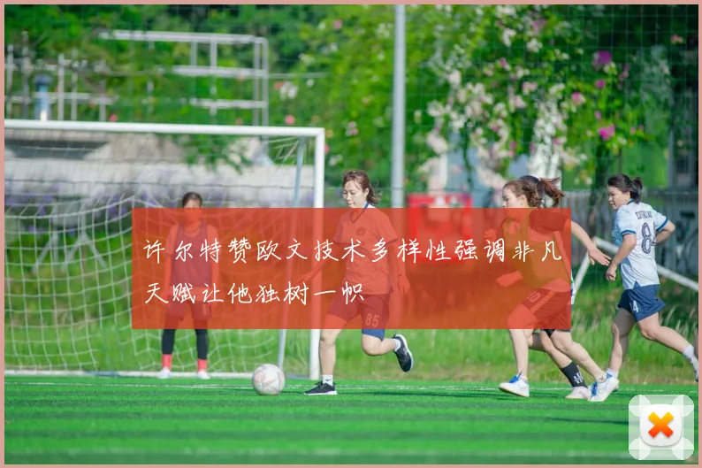 许尔特赞欧文技术多样性强调非凡天赋让他独树一帜