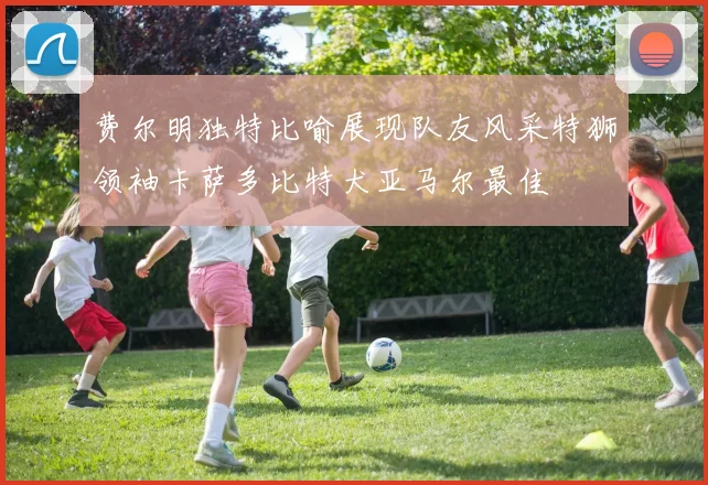 费尔明独特比喻展现队友风采特狮领袖卡萨多比特犬亚马尔最佳