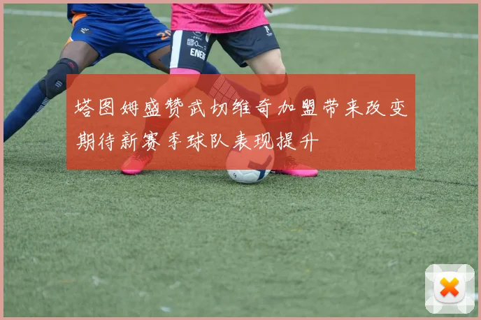 塔图姆盛赞武切维奇加盟带来改变期待新赛季球队表现提升